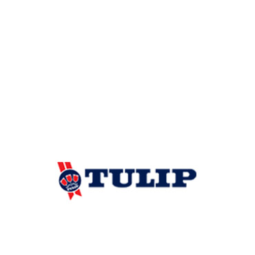 Tulip Food Company